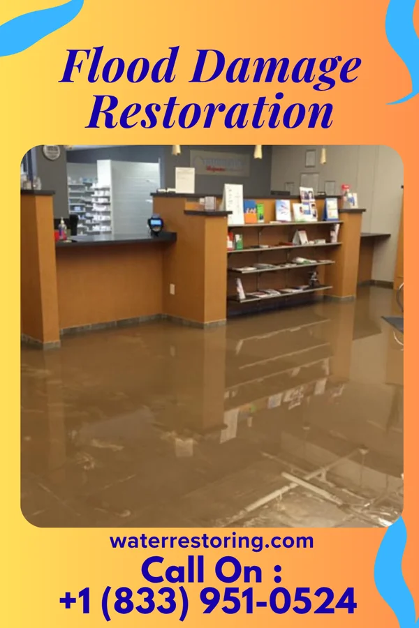 Flood Damage Restoration in Pendleton, SC