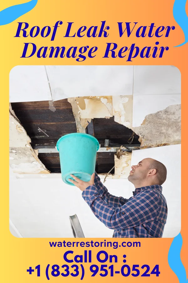 Roof Leak Water Damage Repair in Pendleton, SC